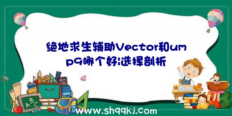 绝地求生辅助Vector和ump9哪个好|选择剖析